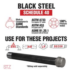 鋼鉄のBLACK / DEV LARGE f NIPPS STZ 1 in. x 2.5 ft. Black Steel Schedule 40 Cut Pipe 306