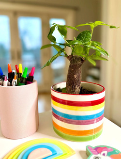 Retro Ceramic Rainbow Planter at Menards®
