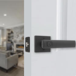 Tru-Bolt® Pegasus Matte Black Biometric Interior Door Lever at Menards®