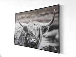 24.5 x 48.5 Highland Cow Framed Wall Canvas Black/White - Threshold™ –  Target Inventory Checker – BrickSeek