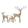 Enchanted Forest® Lighted Deer Family Set - 3 Pack