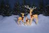 Enchanted Forest® Lighted Deer Family Set - 3 Pack