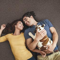 Looptex Mills® Irreplaceable Smoky Brown Plush Carpet 12 ft. Wide