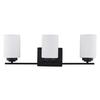 Valen Matte Black 3-Light Vanity Light