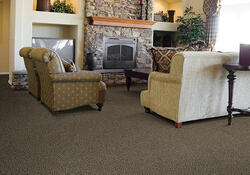 Looptex Mills® Irreplaceable Latte Twist Plush Carpet 12 ft. Wide