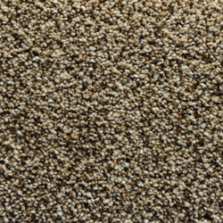 Looptex Mills® Irreplaceable Latte Twist Plush Carpet 12 ft. Wide