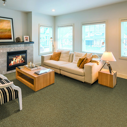 Looptex Mills® Irreplaceable Ice Cappuccino Plush Carpet 12 ft