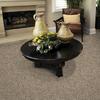 Designer's Image™ Tender Touch Hickory Nut Frieze Carpet 12 ft. Wide