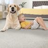 Marquis Industries Soft Indulgence Natural Linen Frieze Carpet 12 ft. Wide