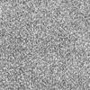 Marquis Industries Soft Indulgence Network Gray Frieze Carpet 12 ft. Wide