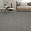Marquis Industries Soft Dreams Stepping Stone Plush Carpet 12 ft. Wide
