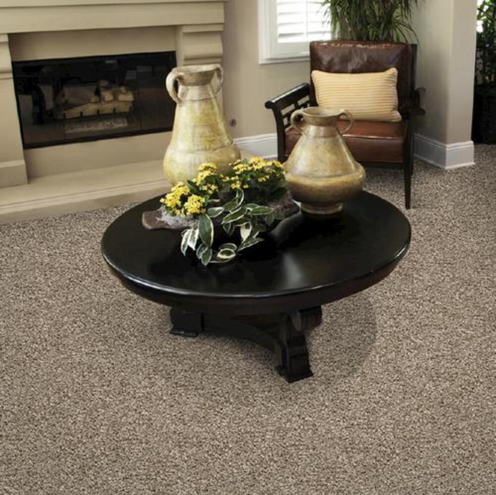 Designer's Image™ Tender Touch Hickory Nut Frieze Carpet 12 ft. Wide