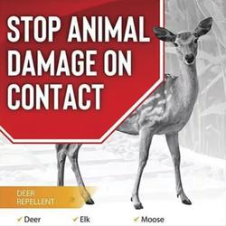 Messinas® Deer Stopper® Ready-to-Use Repellent Spray - 32 oz. at Menards®