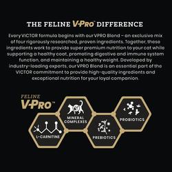 VICTOR® Hi-Pro Plus Active Cat & Kitten Dry Cat Food - 15 lbs at Menards®