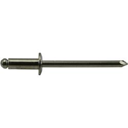Midwest Fastener® 5/32" x 1/4" Stainless Steel Pop Rivet - 50 Count at ...