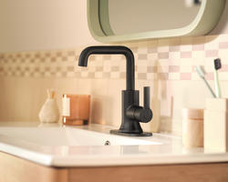 Moen® Zyla™ One-Handle High Arc Matte Black Bathroom Faucet at