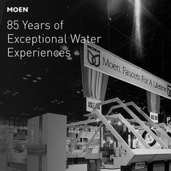 Moen® Zyla™ Spot Resist™ Brushed Nickel Two-Handle High Arc