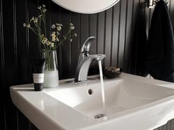 sarena-de！ Moen® Zarina™ One-Handle 4