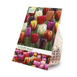 Triumph Tulip Mixed Flower Bulbs - 14 Count at Menards®