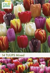Triumph Tulip Mixed Flower Bulbs - 14 Count at Menards®