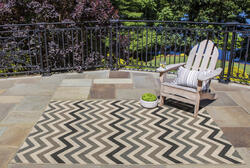 Designer's Image™ Beachcomber Sage Indoor/Outdoor Area Rug 2'3