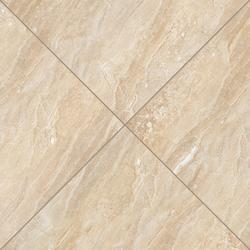 MS International Aria Polished Oro 24 x 24 Porcelain Floor and Wall ...