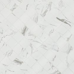 Biancalani☆SALE DELINQUENT 98b/122 XY COLLECTION PROMO PREMIUM TRAINER