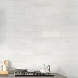 MS International Bianco Dolomite 4 x 12 Polished Marble Floor and Wall ...