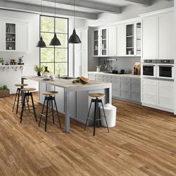 MS International Monterra Norman 7-3/4