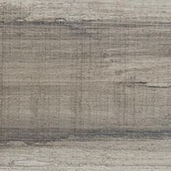 ARCHIVIO グレー 48 Next Floor Ancient Root 011 Commercial Carpet Tile - Bandwidth 883