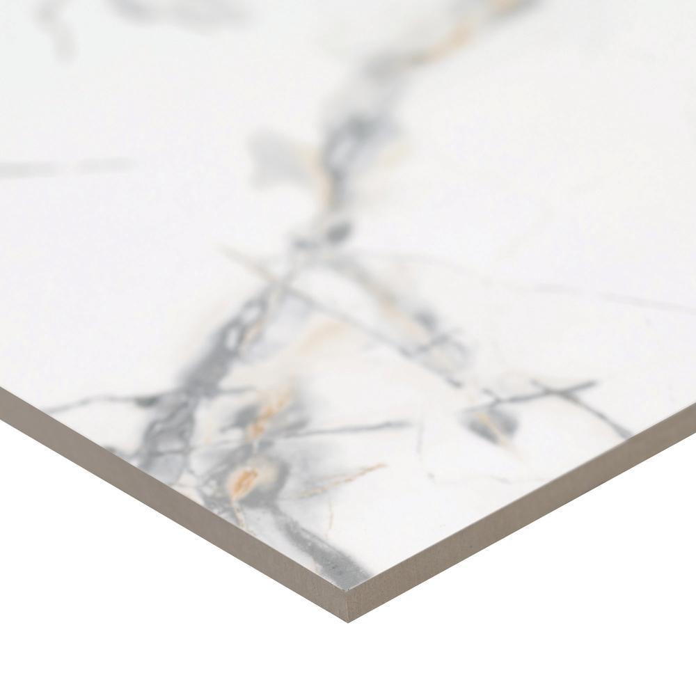 MS International Ponzano Polished Venus 24 x 24 Porcelain Floor