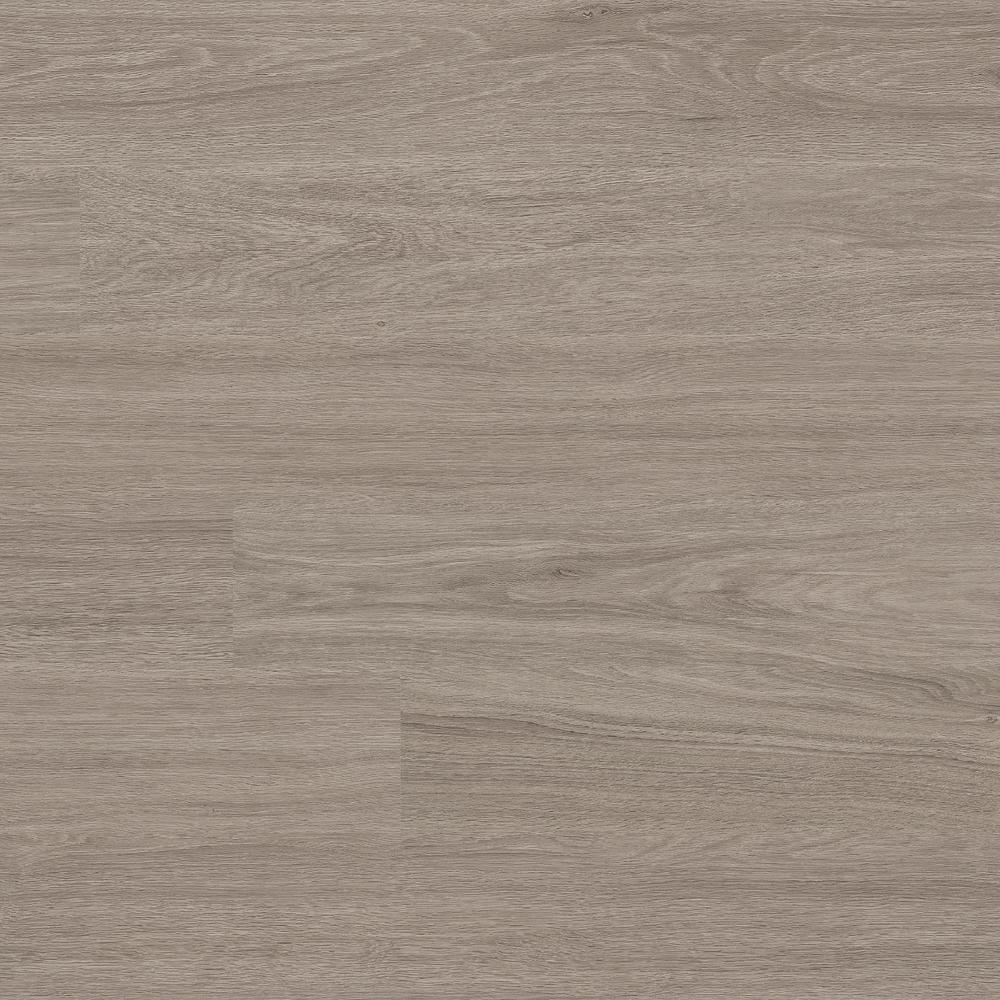 MS International Glenridge Bleached Elm 6