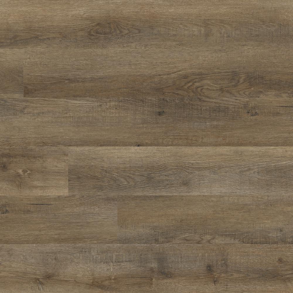 MS International Glenridge Bleached Elm 6