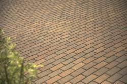 8 x 8 Autumn Blend Holland XL Paver 8 x 8 Autumn Blend Holland XL Paver