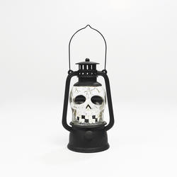 Pumpkin Hollow™ LED Skull Water Lantern at Menards®