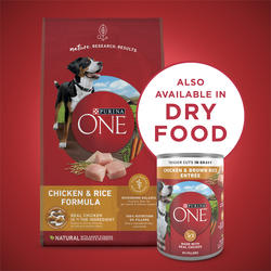 Purina ONE® SmartBlend® Chicken Brown Rice Tender Cuts in Gravy