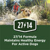 Purina® Dog Chow® High Protein Adult with Real Beef Dog Food - 44 lb.