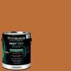 Pittsburgh Paints & Stains® FastDry™ Interior/Exterior Semi-Gloss Caravel Brown Paint - 1 gal.