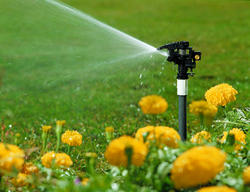 Orbit Irrigation 55024 1/2 Inch Plastic Impact Sprinkler