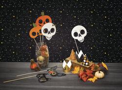 Pumpkin Hollow™ Halloween Party Photo Kit at Menards®