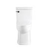 OVE Decors Willow 2-Piece White Tall Elongated Toilet