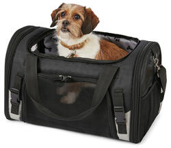 Plastic Pet Carrier - 24 x 16 x 14.8 at Menards®