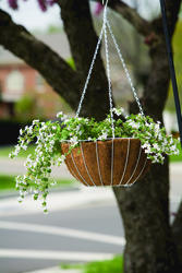 Enchanted Garden™ White Swivel Hanging Basket Ceiling Hook at Menards®