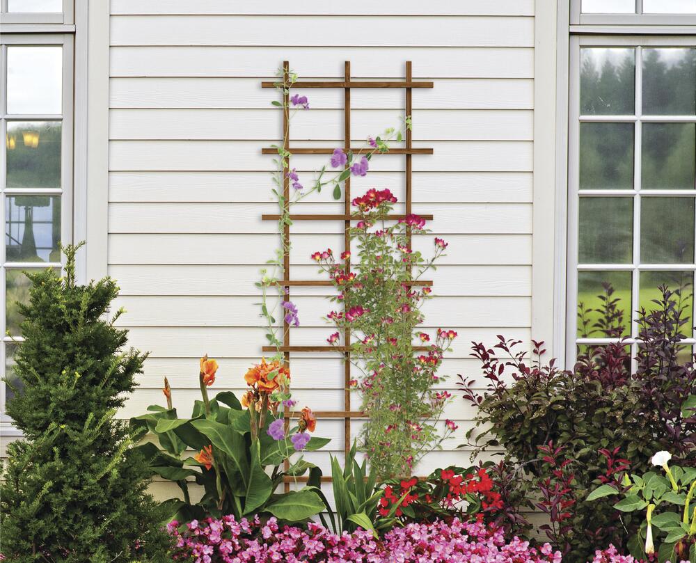 72" Natural Wood Ladder Trellis