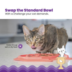 Petstages easy meal cat dish best sale