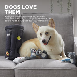 Outward Hound Hide A Raccoon Dog Toy at Menards®