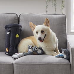 Outward Hound Hide A Raccoon Dog Toy at Menards®