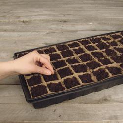Jiffy Seed Starter Greenhouse Kit 50 Cell At Menards Jiffy Seed Starter Greenhouse Kit 50 Cell At Menards
