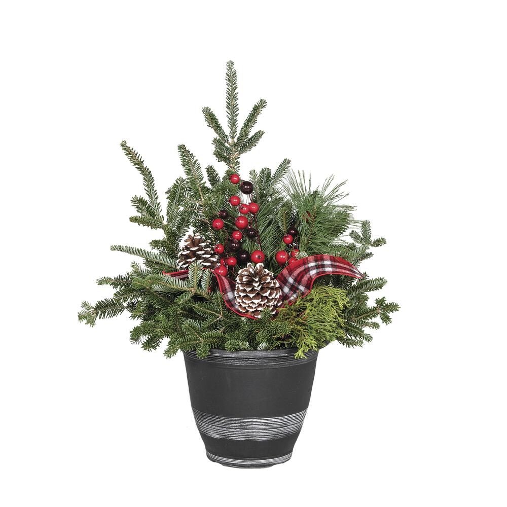 10" Fresh-cut Winter Porch Pot