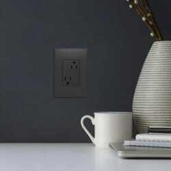 Legrand® adorne® Graphite 1-Gang + Wall Plate with Microban Protection ...